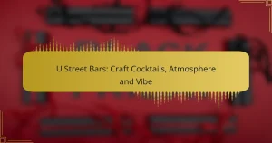 U Street Bars: Craft Cocktails, Atmosphere and Vibe