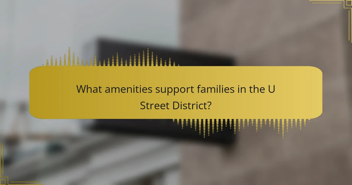 What amenities support families in the U Street District?